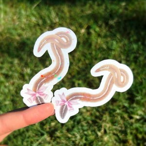 May include: Two worm stickers with a white border. The worms are brown and tan with a pink bow at the bottom. The stickers are held up by a finger against a green grassy background.