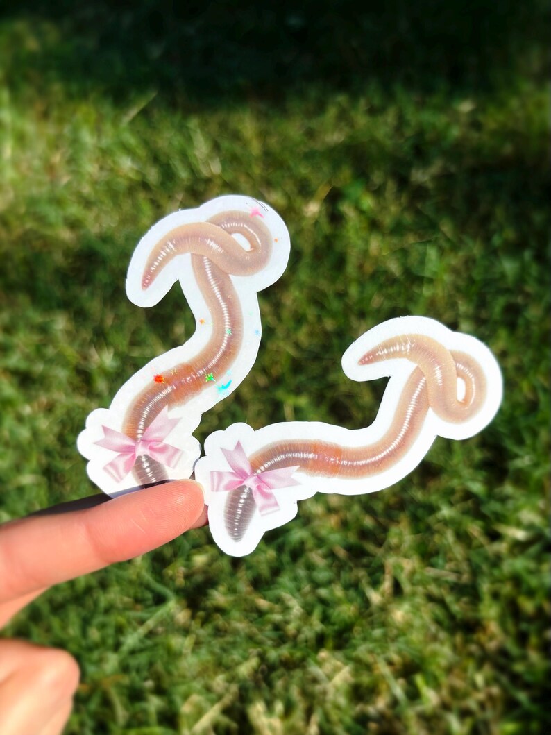 May include: Two worm stickers with a white border. The worms are brown and tan with a pink bow at the bottom. The stickers are held up by a finger against a green grassy background.