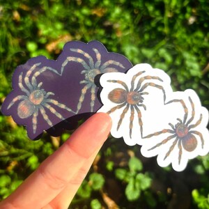 May include: Two spider stickers. One is purple with a spider illustration, and the other is white with a spider illustration. The stickers are held up against a green background.