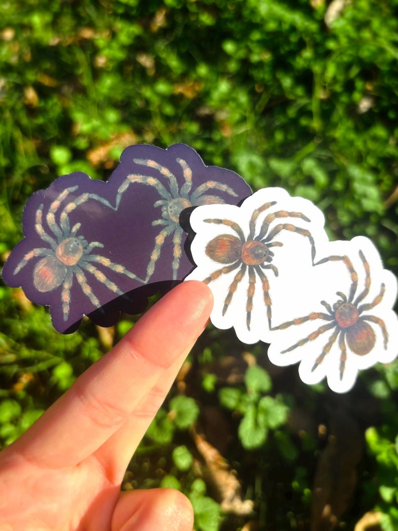 May include: Two spider stickers. One is purple with a spider illustration, and the other is white with a spider illustration. The stickers are held up against a green background.