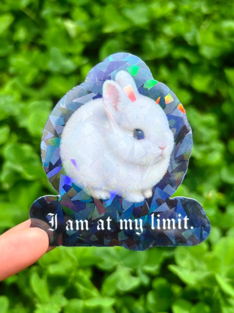 I Am at My Limit Sticker: Cute Bunny Meme Sticker, Soft Goth Rabbit ...