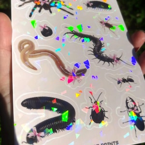 Coquette Bugs Sticker Sheet - Creepy Cute Insect Sticker Sheet, Cute Sticker Sheet, Kawaii Sticker Sheet, Cutesy Sticker, Centipede Sticker image 4