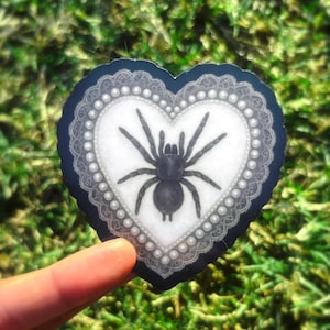 May include: A heart-shaped sticker with a black tarantula illustration. The design features a white background, a pearl border, and a dark blue lace trim. The sticker is held against a blurred green background.