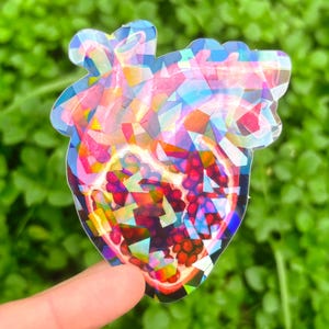 Pomegranate Heart Sticker Pack: Anatomical Human Heart Sticker, Surreal Art Sticker Set, Persephone Stickers, Dark Academia Aesthetic Black (Holographic)