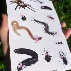 Coquette Bugs Sticker Sheet - Creepy Cute Insect Sticker Sheet, Cute Sticker Sheet, Kawaii Sticker Sheet, Cutesy Sticker, Centipede Sticker image 2
