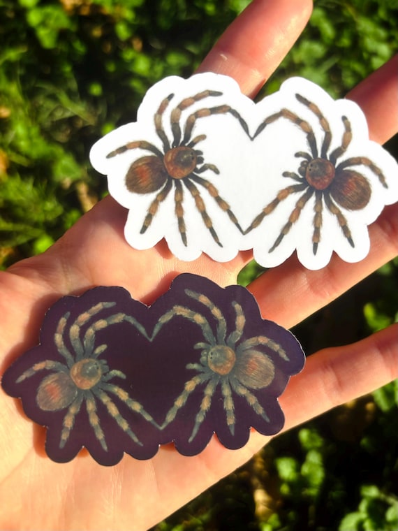 Tarantula Heart Sticker: Creepy Cute Spider Sticker, Kawaii Arachnid Stickers, Gothic Insect Art