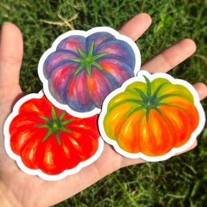 Tomato Sticker Pack - Tomato Vinyl Sticker Three Set, Watercolor Vegetable Sticker, Tomatoes Vinyl Sticker, Mediterranean Aesthetic Sticker