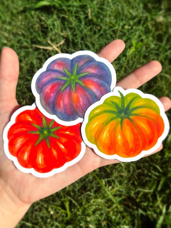 Tomato Sticker Pack - Tomato Vinyl Sticker Three Set, Watercolor Vegetable Sticker, Tomatoes Vinyl Sticker, Mediterranean Aesthetic Sticker