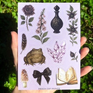 Witchy Toad Illustrated Vinyl Sticker Sheet - Dark Sticker Sheet, Eclectic Sticker Sheet, Aesthetic Filler Stickers, Weird Girl Sticker