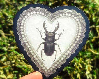 Gothic Beetle Sticker: Creepy Cute Stag Beetle, Victorian Insect Stickers, Vintage Goth Stickers, Antique Bug Art