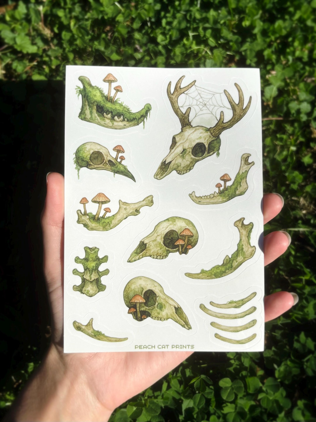 Animal Bones Sticker Sheet - Moss Covered Bones Sticker Sheet, Oddity ...