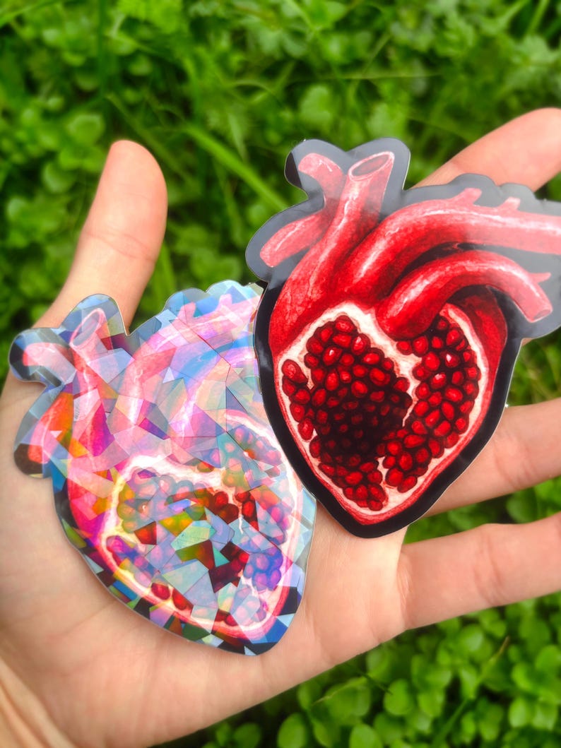 Pomegranate Heart Sticker Pack: Anatomical Human Heart Sticker, Surreal Art Sticker Set, Persephone Stickers, Dark Academia Aesthetic image 3