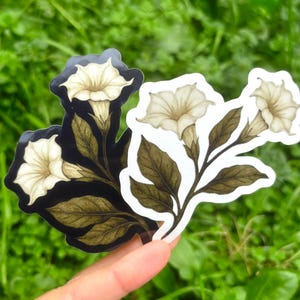 Morning Glory Sticker Set: Holographic Moon Flower Vinyl Decals