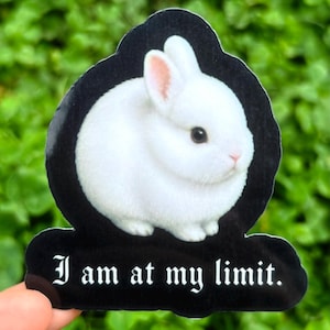May include: A sticker featuring a fluffy white rabbit with pink ears and a pink nose, set against a black background. The text "I am at my limit" is written in white, gothic-style font.