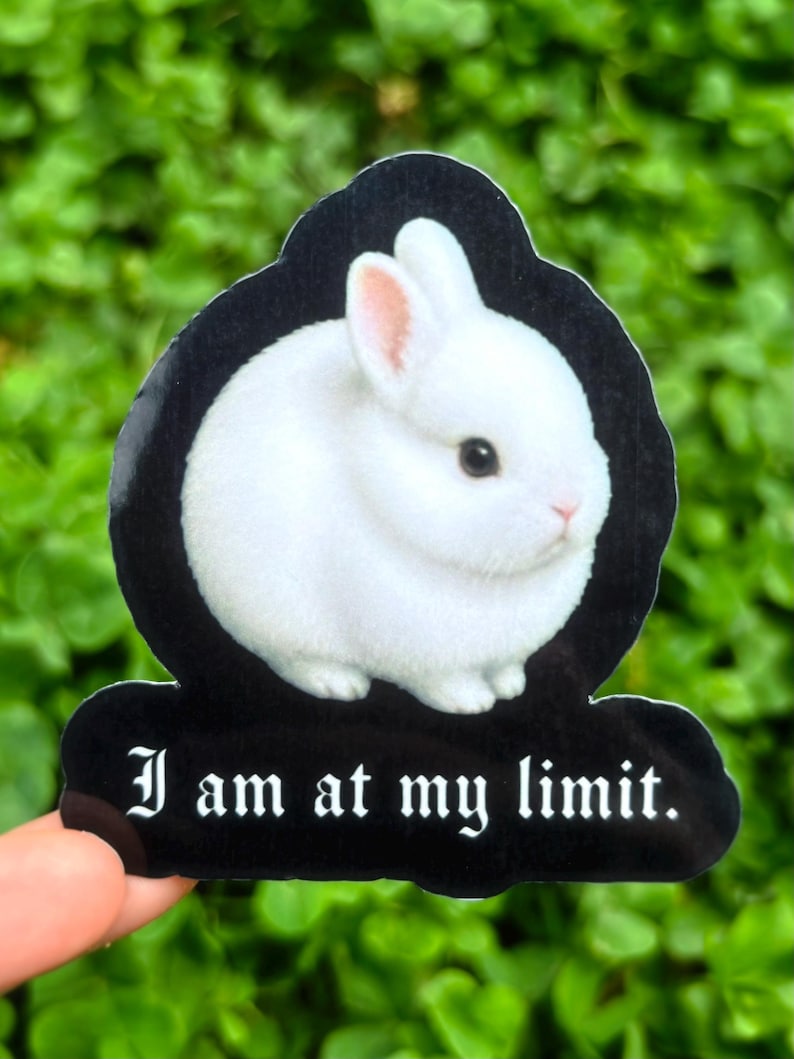 I Am at My Limit Sticker: Cute Bunny Meme Sticker, Soft Goth Rabbit ...