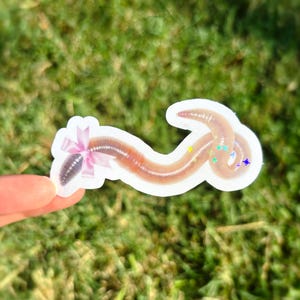 May include: A sticker depicting a cartoon earthworm with a pink bow and glitter details. The worm is brown and tan, with a segmented body. The sticker is held against a backdrop of green grass.