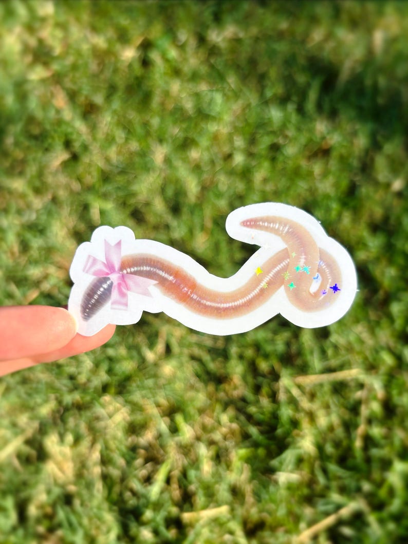 May include: A sticker depicting a cartoon earthworm with a pink bow and glitter details. The worm is brown and tan, with a segmented body. The sticker is held against a backdrop of green grass.
