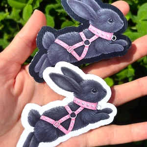 May include: Two die-cut stickers featuring a dark gray rabbit in a leaping pose. The rabbit wears a light pink studded harness and collar with silver-toned metal hardware. One sticker has a black border, and the other has a white border.