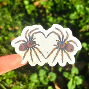 May include: A white sticker featuring two brown and tan spiders forming a heart shape. The spiders have detailed legs and bodies. The sticker has colorful glitter accents and is held against a blurred green background.
