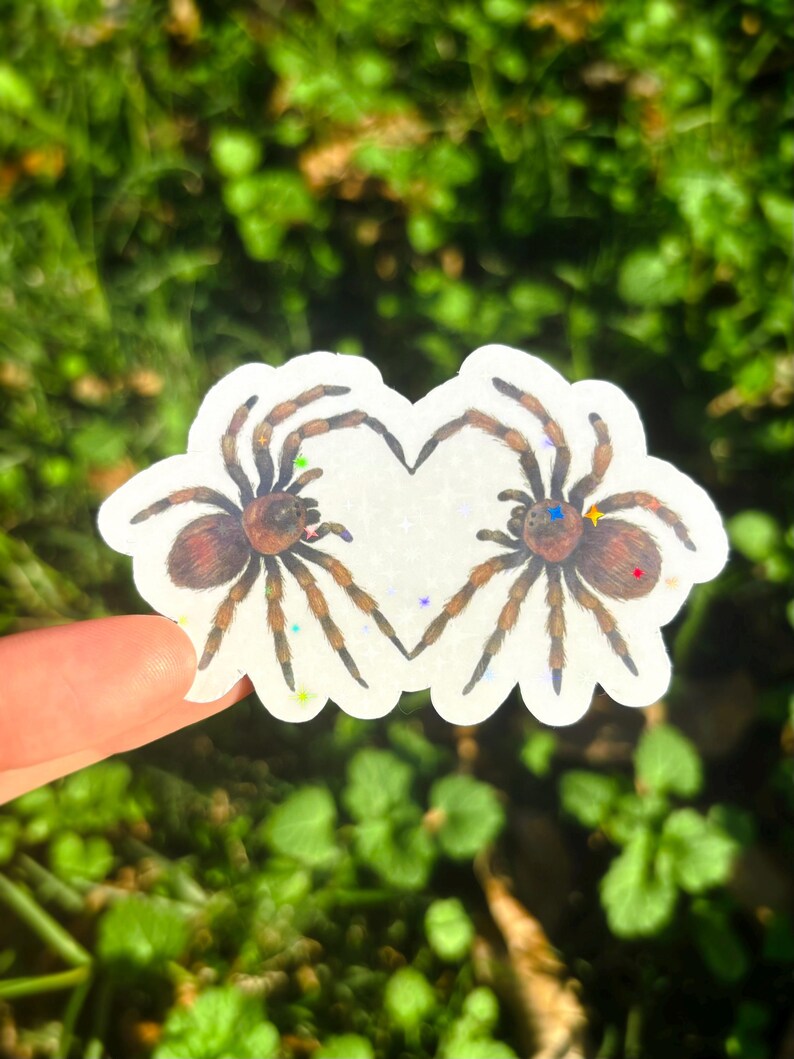 May include: A white sticker featuring two brown and tan spiders forming a heart shape. The spiders have detailed legs and bodies. The sticker has colorful glitter accents and is held against a blurred green background.