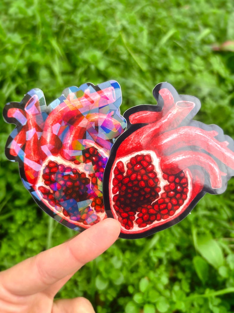 Pomegranate Heart Sticker Pack: Anatomical Human Heart Sticker, Surreal Art Sticker Set, Persephone Stickers, Dark Academia Aesthetic image 4
