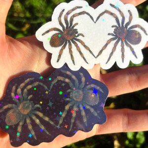 May include: Two spider stickers. One sticker features two spiders forming a heart shape on a white background. The other sticker has two spiders on a dark purple background with colorful star accents.