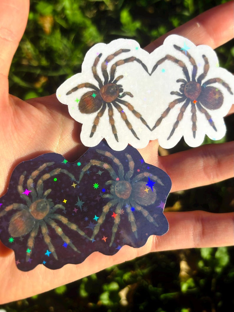 May include: Two spider stickers. One sticker features two spiders forming a heart shape on a white background. The other sticker has two spiders on a dark purple background with colorful star accents.