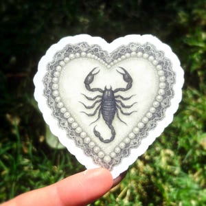 Pu&ograve; includere: Un adesivo a forma di cuore con un'illustrazione dettagliata di uno scorpione. Lo scorpione &egrave; centrato all'interno di un cuore bianco, circondato da un bordo di perle e un delicato bordo di pizzo. L'adesivo &egrave; tenuto su uno sfondo di erba verde.
