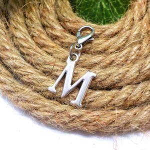 Clip de carta de mascota en encanto delicado, clip personalizado en encanto de bolso de bolso delicado, joyería de regalo de gato de perro, collar de letra inicial pequeño encanto de mascota