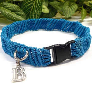 Könnte beinhalten: Ein türkisfarbenes geflochtenes Hundehalsband mit einer schwarzen Kunststoffschnalle und einem silbernen Anhänger mit dem Buchstaben "B".
