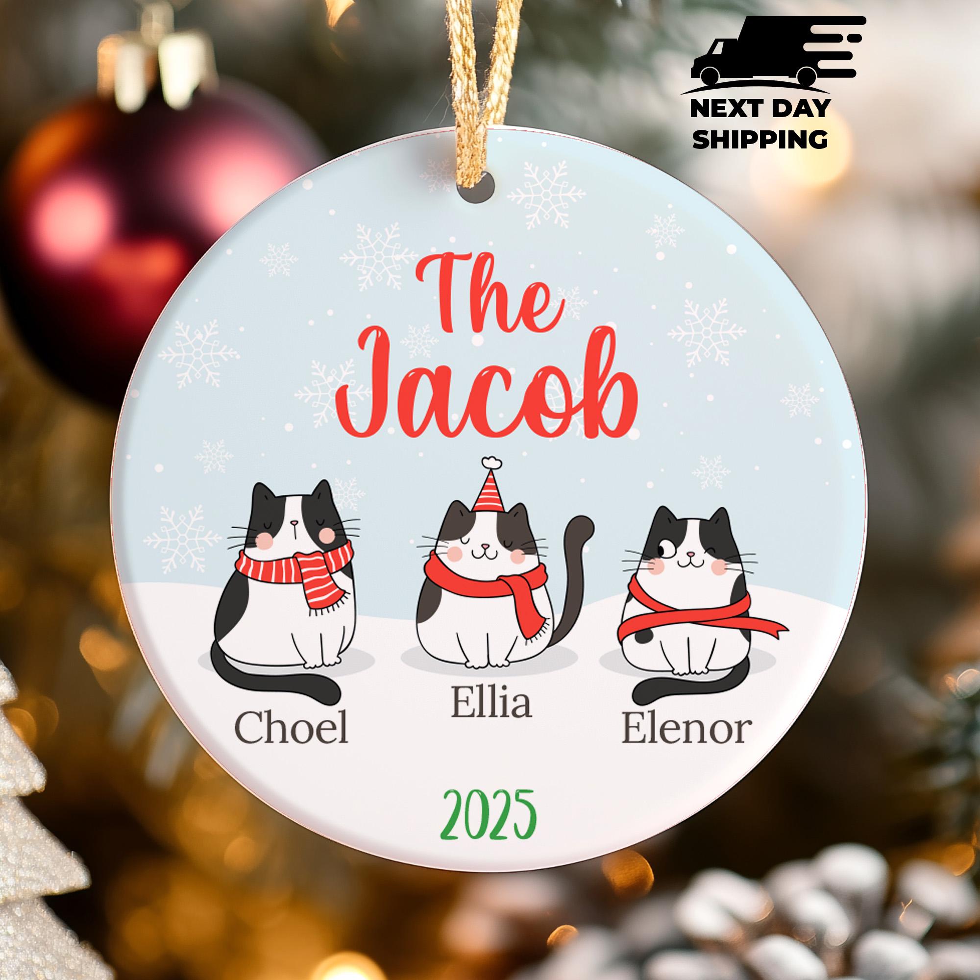 Personalized Cat Family Ornament 2025, Custom Christmas Ornament with Cats, Family Name Cat Lover Gift, Cat Character Ornament, Holiday Gift