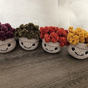 Crochet Succulent