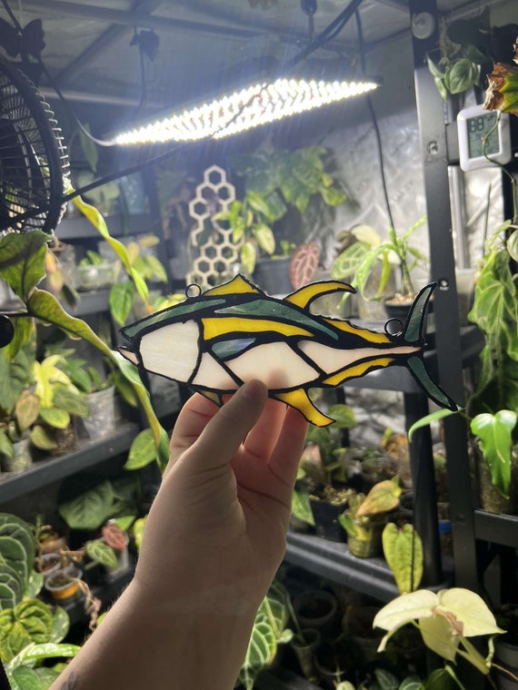 Custom Stained Glass