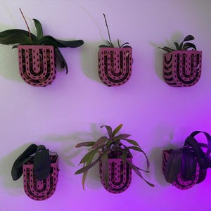 Boho Rainbow Inspired Wall Hanging Orchid Pot
