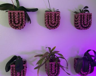 Maceta de orquídea colgante de pared de inspiración bohemia con arcoíris