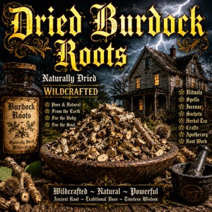 May include: A dark brown glass jar labeled Burdock Roots and a matching bowl filled with chopped dried burdock roots. The image features text including Dried Burdock Roots, Naturally Dried, Wildcrafted, and a list of uses like Rituals, Spells, and Herbal Tea.