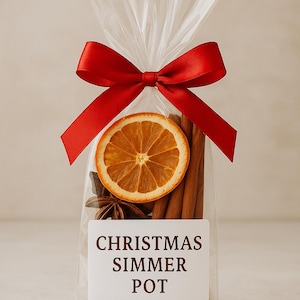 Christmas Simmer Pot • Holiday Potpourri