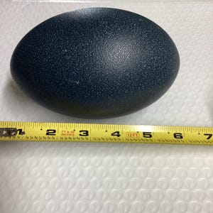 May include: A dark blue ostrich egg measuring approximately 6 inches in diameter. The egg is sitting on a white surface with a yellow measuring tape.