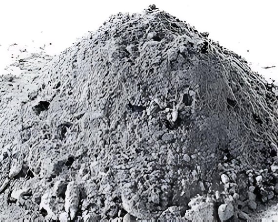 3 pounds of Wood Ash! All hardwood, organic fertilizer, lye soap, pest control, homesteading, Gardening, hide tanning,
