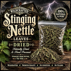 May include: A clear plastic bag filled with dried green stinging nettle leaves, accompanied by a loose pile of the same dried leaves. The text on the image reads Wildcrafted Stinging Nettle Leaves Dried, 100% Natural & Pure, and No Additives.