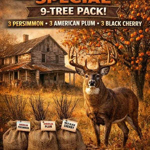 May include: An advertisement for a wildlife deer hunter special. The image features a majestic buck, an old house, and three burlap sacks labeled with tree types: American Persimmon, American Plum, and Wild Black Cherry. Text includes "9-TREE PACK!" and "FOOD PLOTS • HABITAT TREES • BARE ROOT SEEDLINGS."