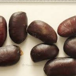 Puede incluir: Primer plano de ocho semillas de color marr&oacute;n oscuro, probablemente de una fruta o planta.