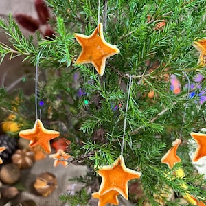 May include: Close-up of a small evergreen tree decorated with orange star-shaped ornaments. The ornaments are suspended by thin strings. The tree is in a clear glass vase, with other decorative elements in the background.
