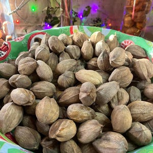 May include: A bowl filled with numerous brown pecans. The pecans are in a green and white patterned bowl. The background includes greenery and decorative lights, suggesting a festive or seasonal theme.