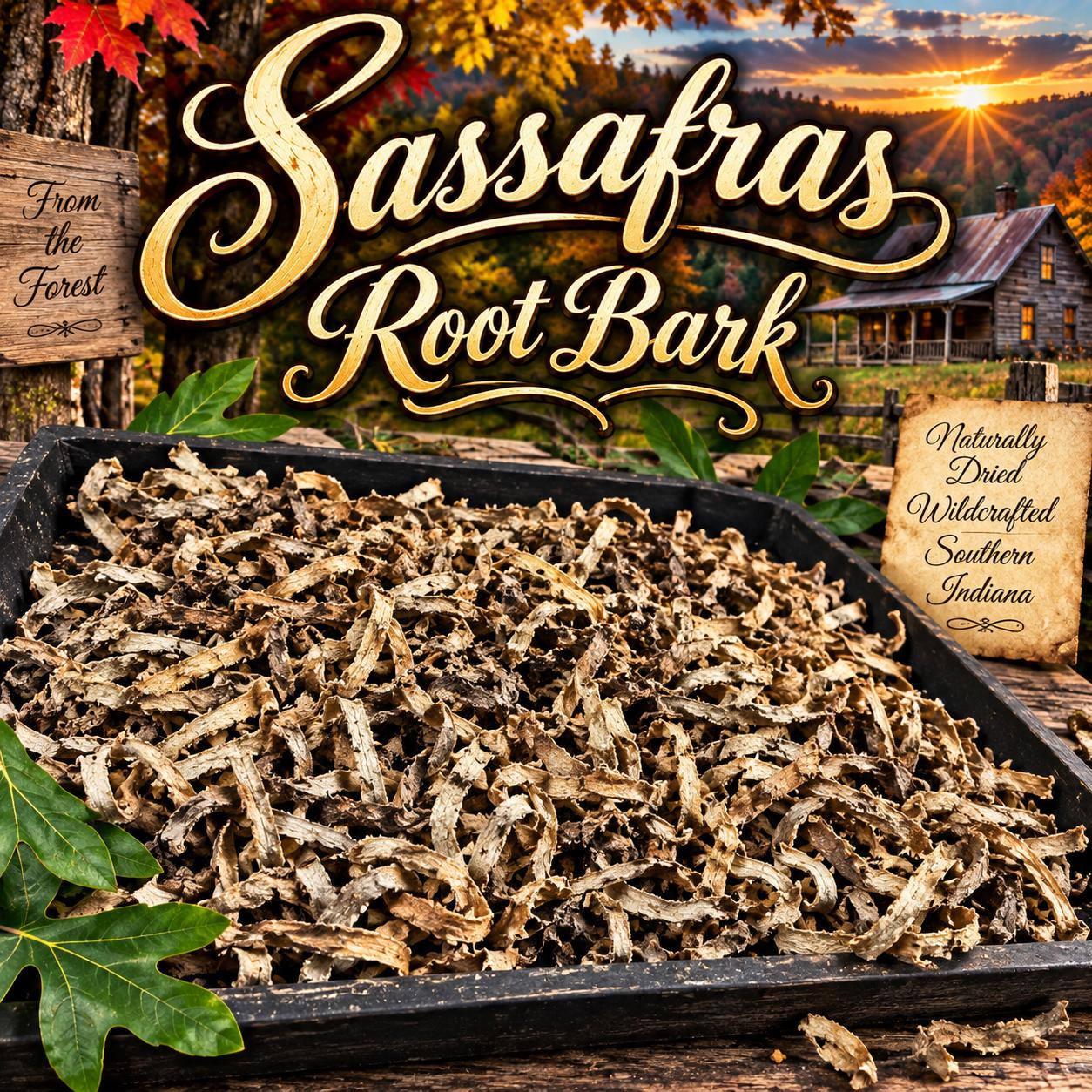Dried Sassafras - Etsy