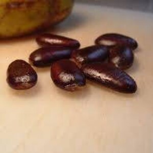 Puede incluir: Primer plano de varias semillas de color marr&oacute;n oscuro sobre una superficie blanca. Las semillas tienen forma ovalada y una textura lisa y brillante.