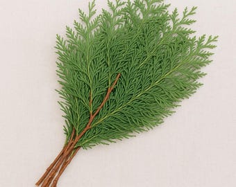 20 Fresh Cut Red Cedar boughs branches, Fragrant decor wreaths,swags tabletop