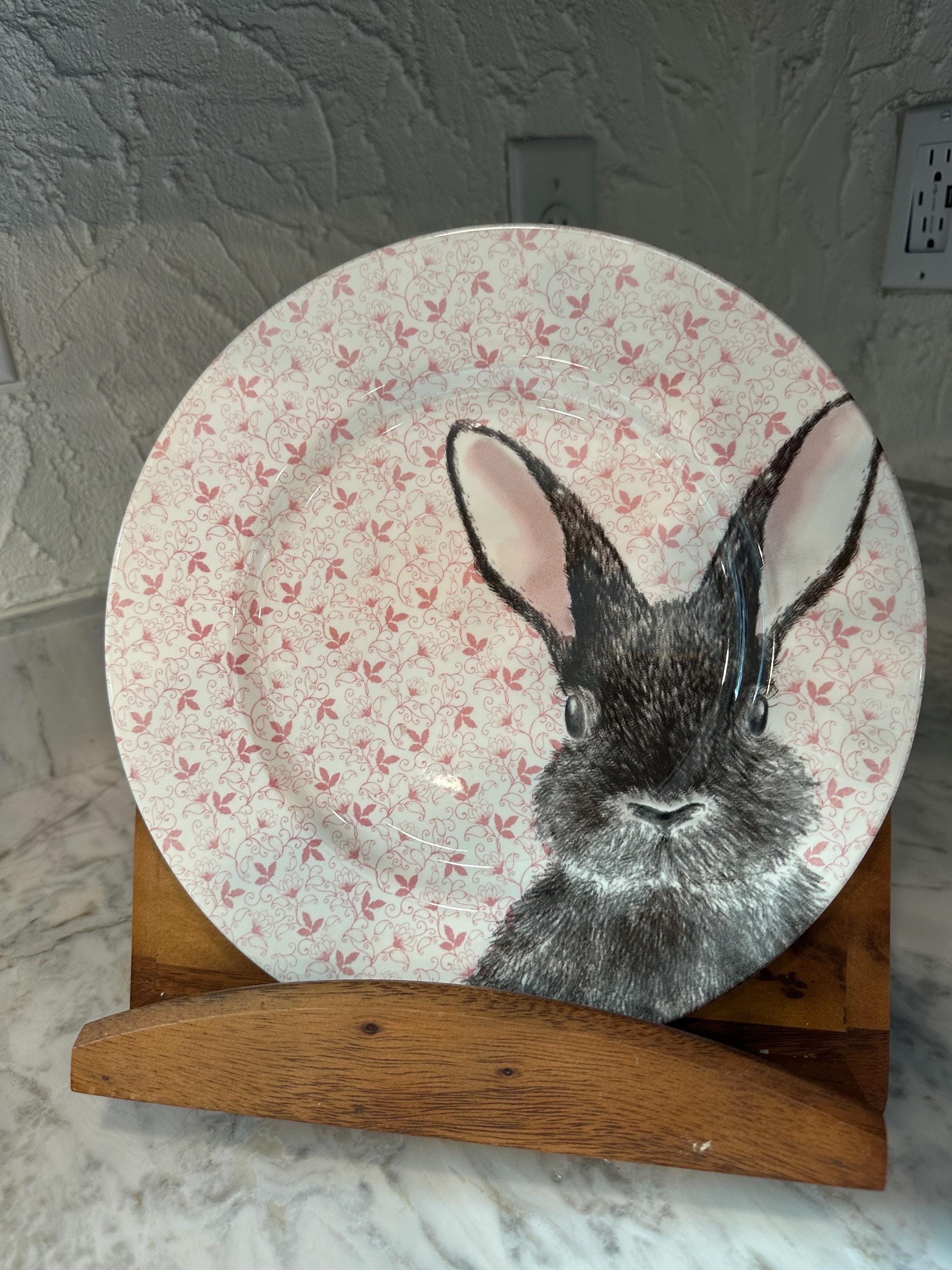 Set of Two Royal Stafford Chintz Rabbit Pink Dinner Plates - Etsy