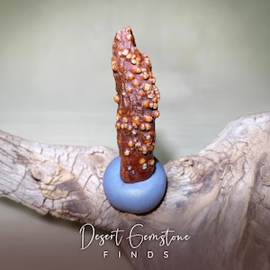 Gobi Desert Red Fish Roe Achat - Natürlicher stabförmiger mongolischer Achat mit sprudelnder Textur, gutes Stück für DIY-Schmuckhandwerker und Sammler