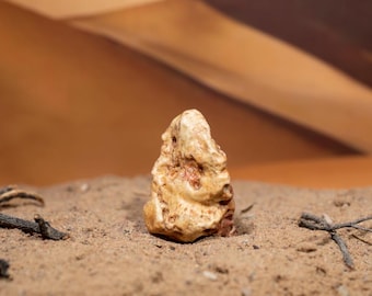 Peut inclure: Une truffe beige texturée se dresse dans le sable, avec un arrière-plan désertique flou. La truffe a une surface rugueuse et inégale et est entourée de petites brindilles. La scène évoque une esthétique naturelle et terreuse.